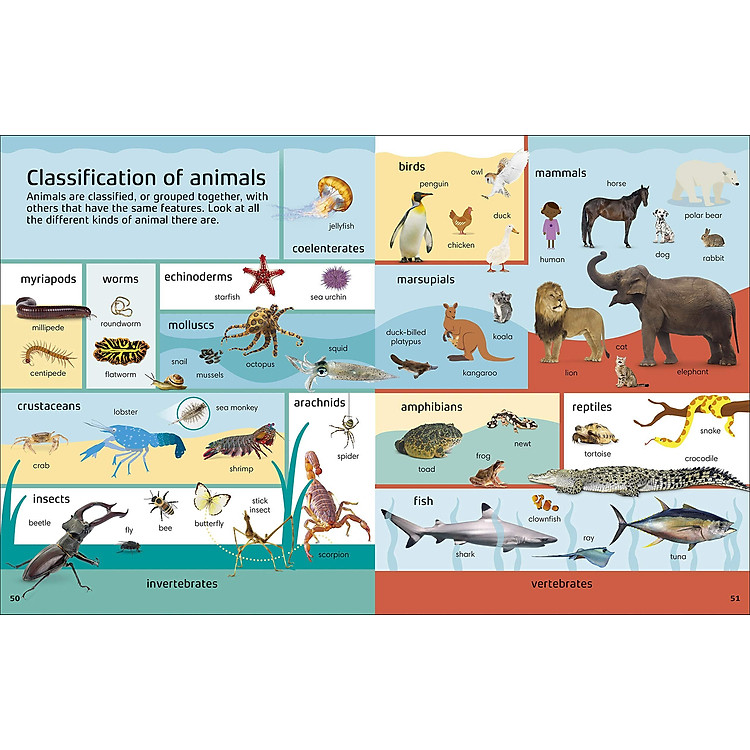 1000 Words: STEM - Ảnh 6