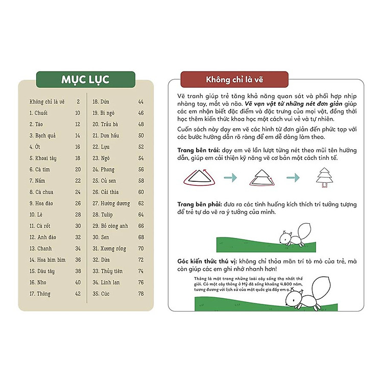 VẼ VẠN VẬT TỪ NHỮNG NÉT ĐƠN GIẢN - Vẽ cỏ cây hoa lá - Ảnh 2