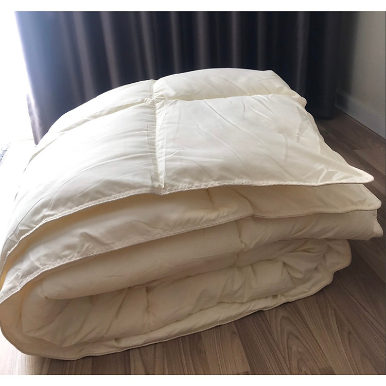 Ruột chăn lông vũ cao cấp