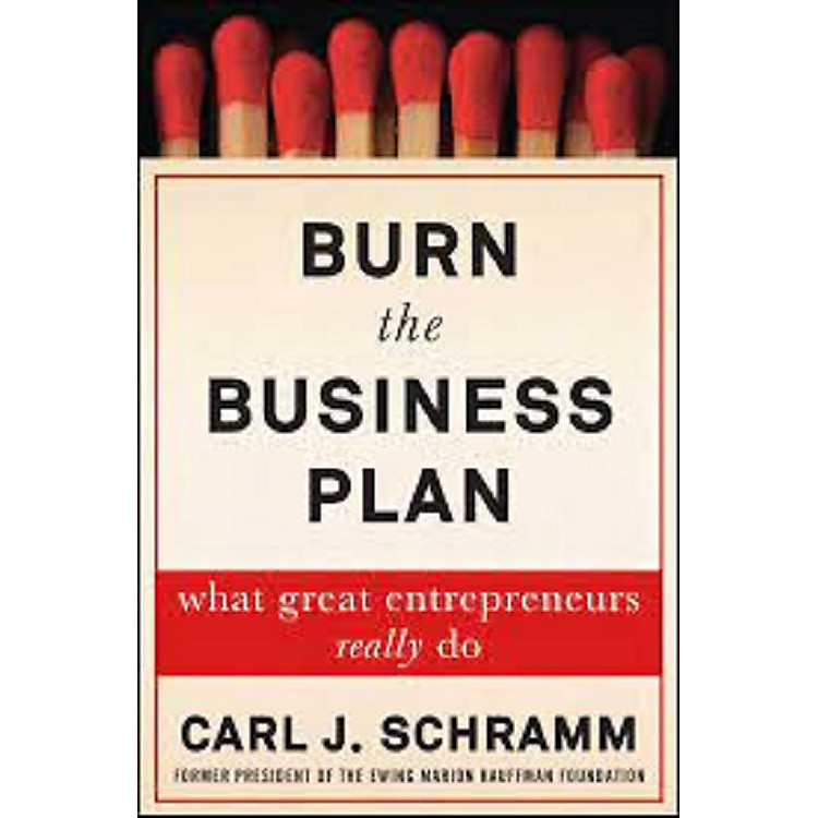 Burn the Business Plan: What Great Entrepreneurs Really Do