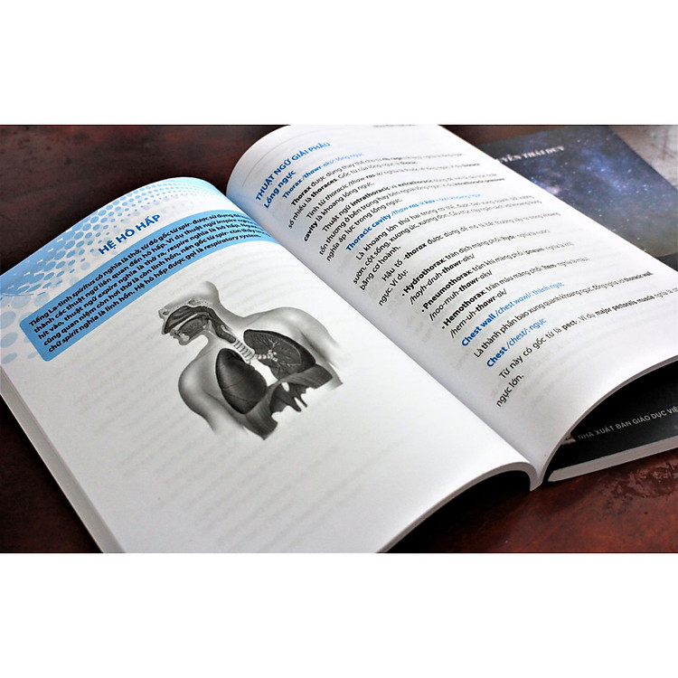 Thuật Ngữ Tiếng Anh Chuyên Ngành Y Khoa - Cho Người Mới Bắt Đầu (PN) - Ảnh 2