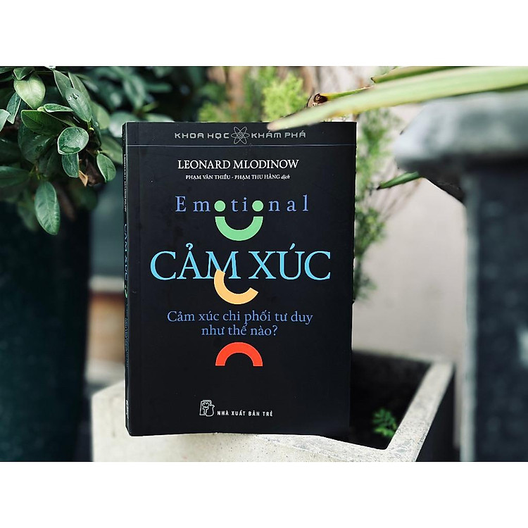 Cảm Xúc - Cảm Xúc Chi Phối Tư Duy Như Thế Nào - Ảnh 5