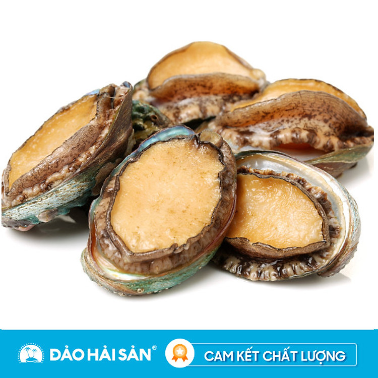 Bào Ngư Hàn Quốc Sống 500g