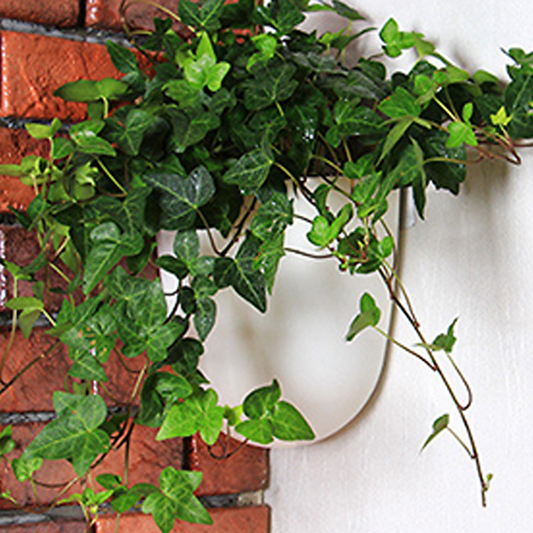 Chậu trồng cây thông minh - Chậu treo góc