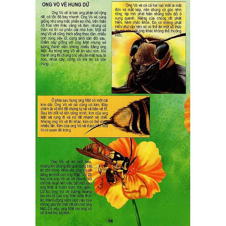 Thế Giới Động Vật Kì Thú - Ảnh 4