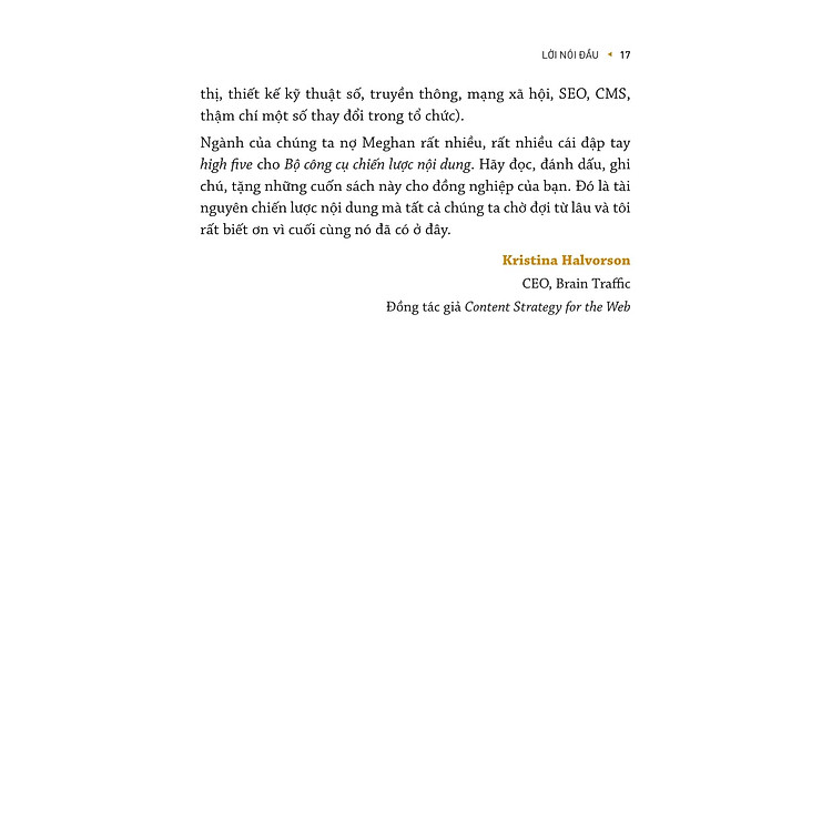 Bộ Công Cụ Chiến Lược Nội Dung - Ảnh 5