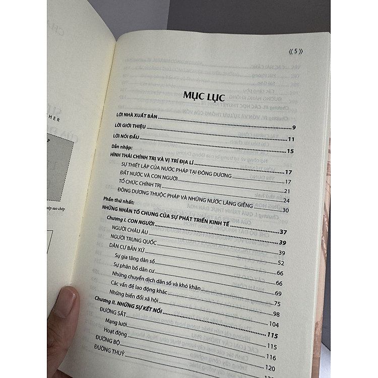 SỰ PHÁT TRIỂN KINH TẾ CỦA ĐÔNG DƯƠNG THUỘC PHÁP - Ảnh 3