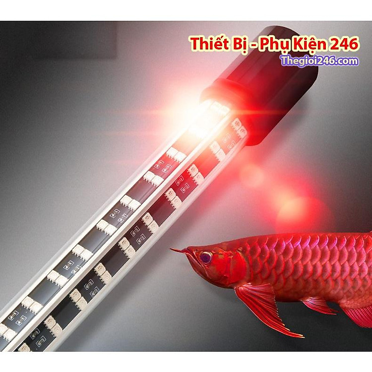 Đèn cá rồng dành cho hồ XML 4H Tanning Huyết Long – Kim Long ( Trắng) cao cấp 4 hàng bóng