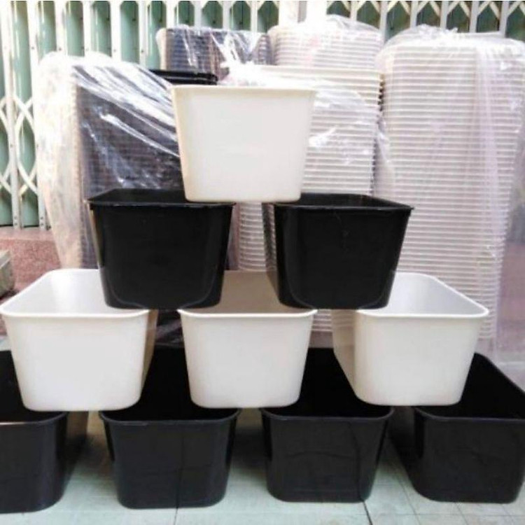 Khay nuôi cá 7 lít thích hợp dưỡng cá, nuôi cá con, ép cá giống sinh sản. - Sẵn hàng, Giá tốt.