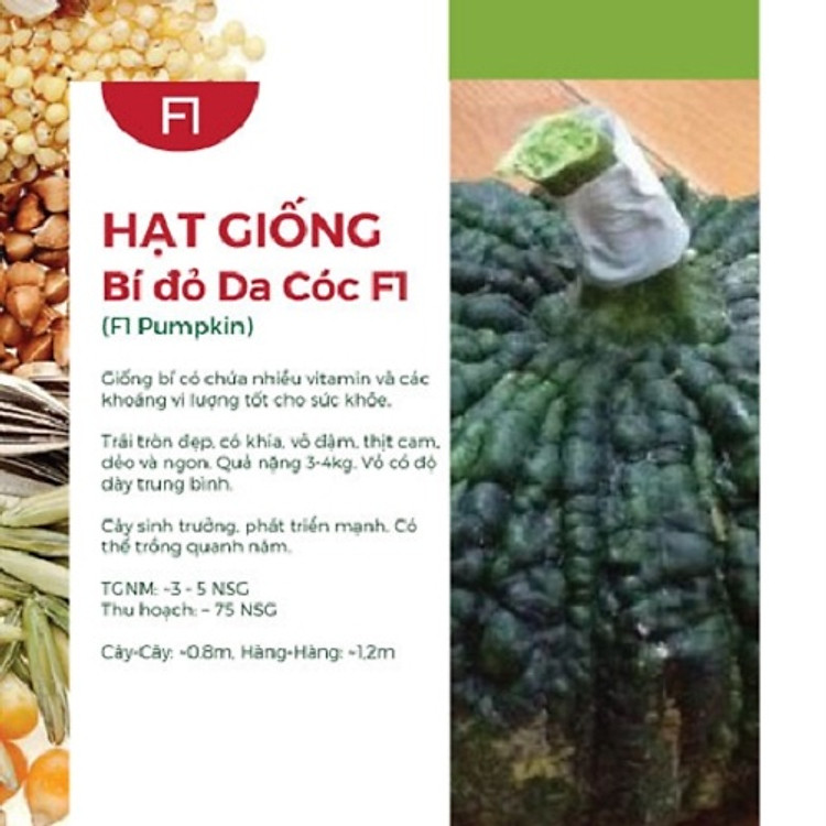 Hạt Giống Bí Đỏ Da Cóc F1 ( 3 Gói )
