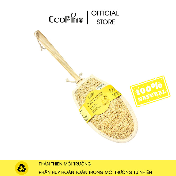 Cây chà lưng xơ mướp ECOPINE loại cao cấp dài 45cm