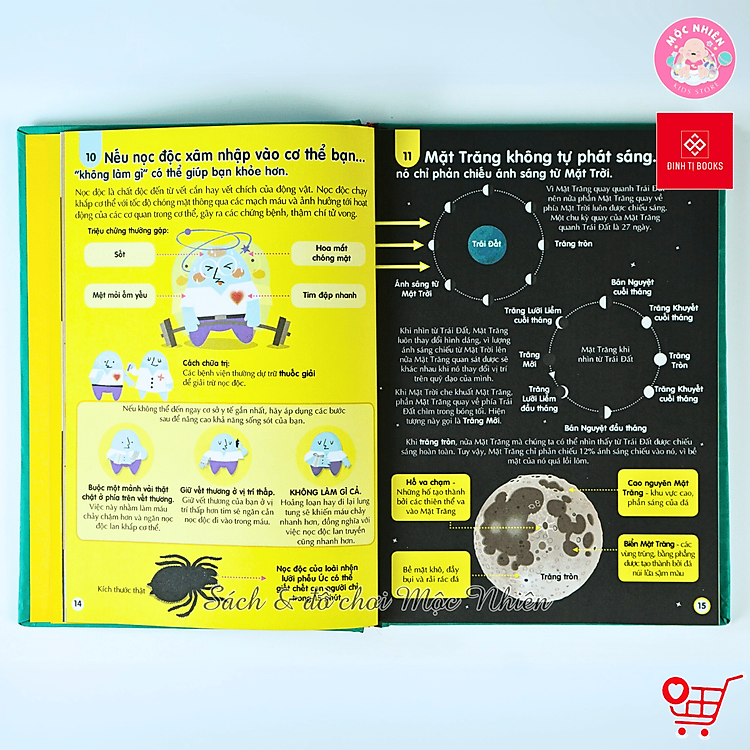 100 Bí Ẩn Đáng Kinh Ngạc – Đinh Tị - Ảnh 5