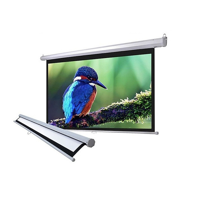 MÀN CHIẾU TREO TƯỜNG 100 INCH - 70X70 - 1,78MX1,78M P70WS DALITE - Hàng nhập khẩu