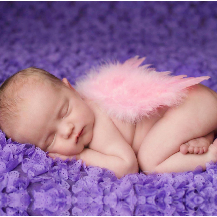 Cánh thiên thần chụp ảnh cho bé - Hồng Chính hãng Giá tốt - Hình ảnh 2