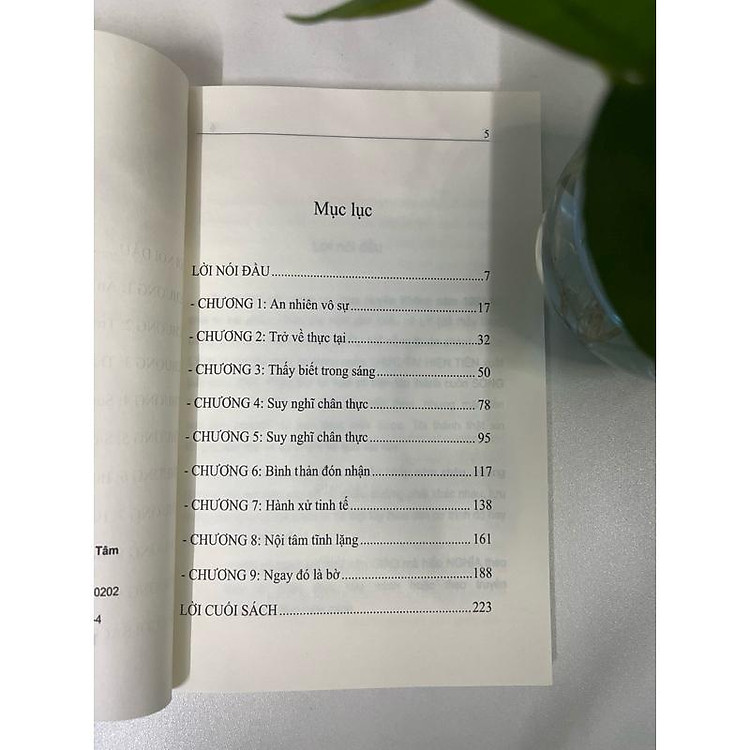 Sống Trong Thực Tại (Viên Minh) - Ảnh 3