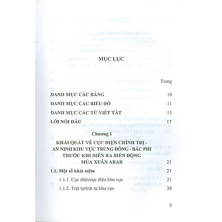 Sự Hình Thành Cục Diện Chính Trị - An Ninh Mới Tại Khu Vực Trung Đông - Bắc Phi Và Tác Động - Ảnh 6