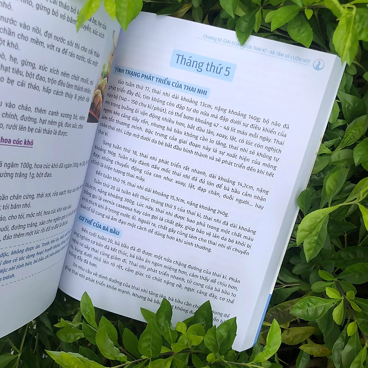 Tri Thức Cho Một Thai Kì Khỏe Mạnh - Ảnh 5