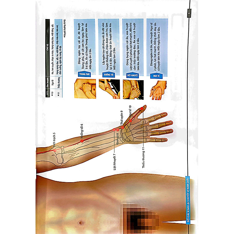 Đồ giải Kinh Lạc Huyệt Vị Nam giới - Ảnh 5