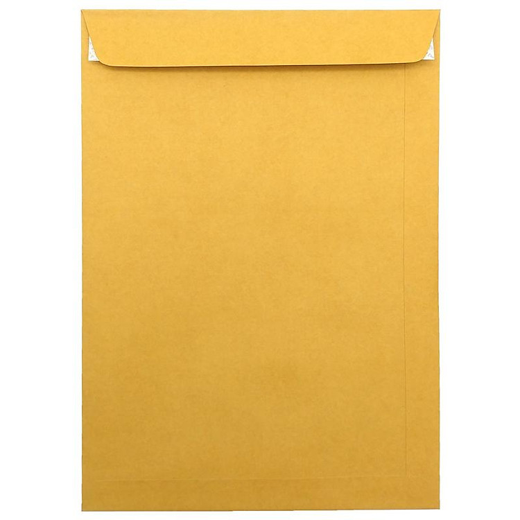 Bộ Bao Hồ Sơ Vàng Có Keo Dán (10 chiếc) - Ảnh 4