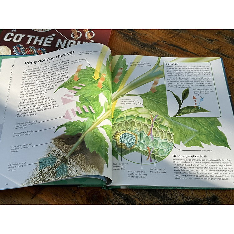 HÀNH TRÌNH KHÁM PHÁ – MÔI TRƯỜNG - Ảnh 4