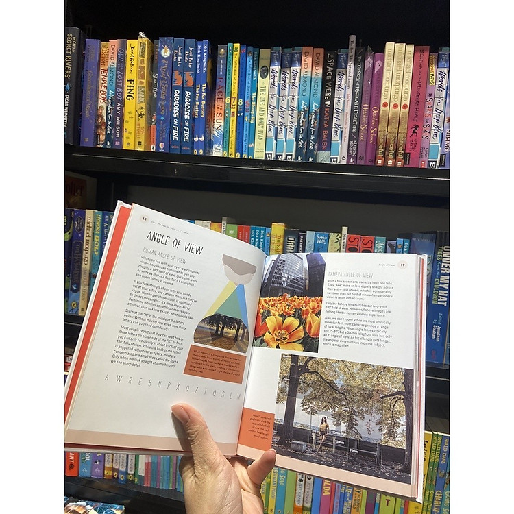 Why You Like This Photo: The Science of Perception, and How We Understand Photographs - Ảnh 3