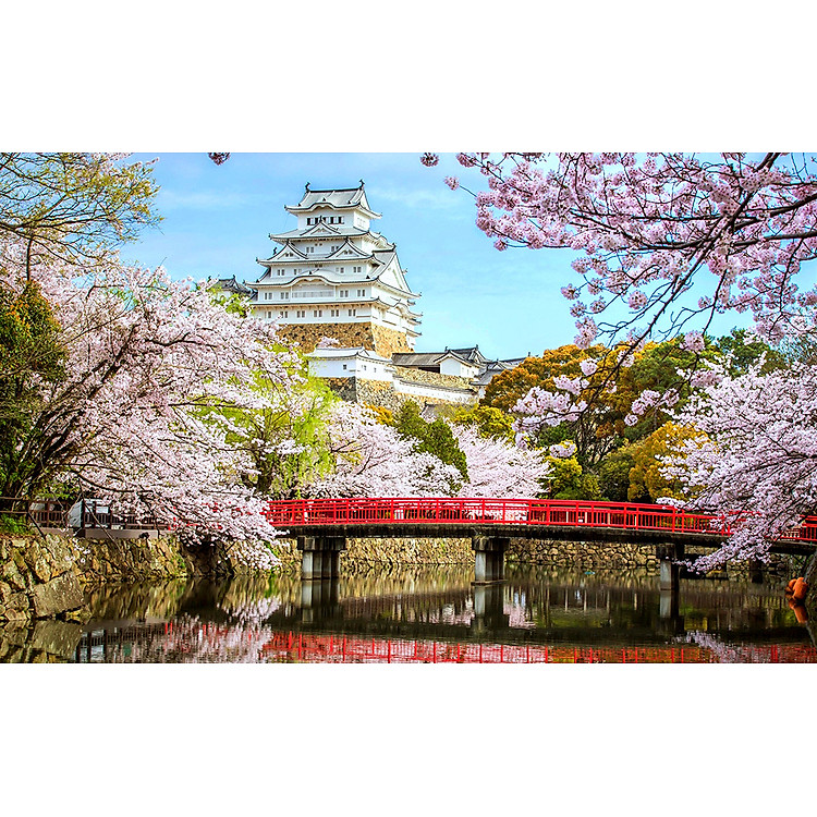 Bộ tranh xếp hình 1000 mảnh Lâu Đài Himeji Chính hãng Tiết kiệm - Hình ảnh 2