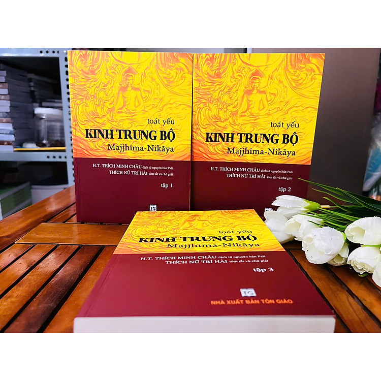 Toát Yếu Kinh Trung Bộ - Ảnh 3