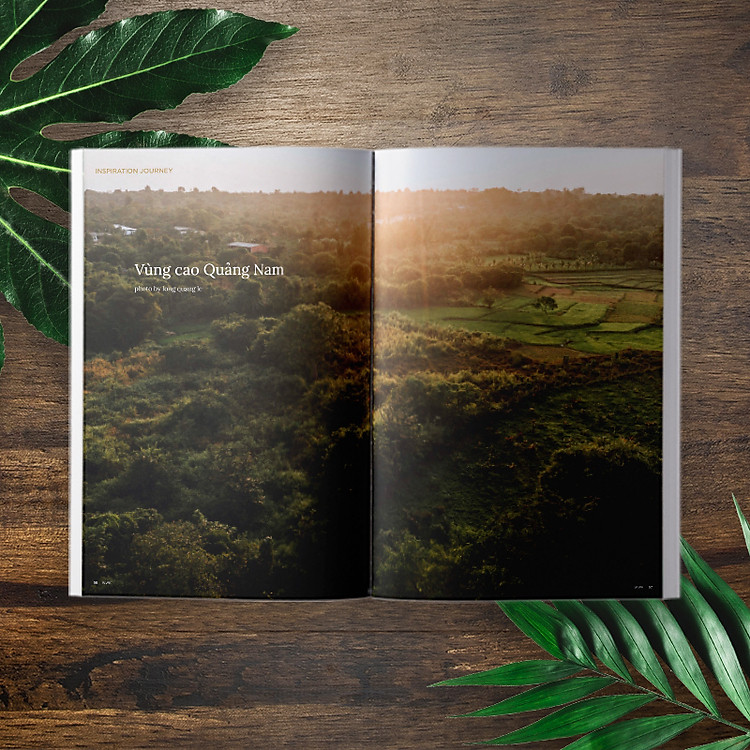 WOWWEEKEND ORIGINAL 04 - NÚI RỪNG VIỆT NAM 2020 - Ảnh 4