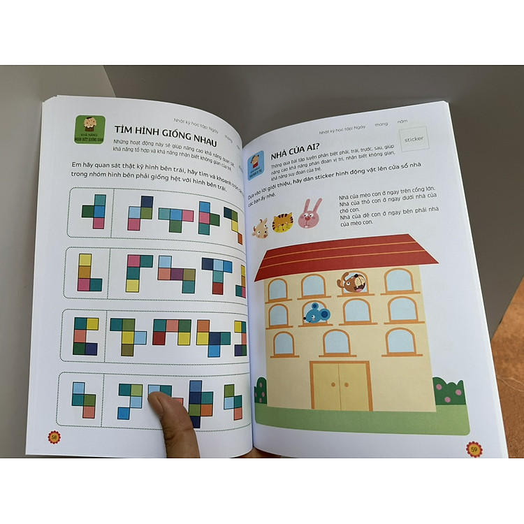 PHÁT TRIỂN TƯ DUY - NÃO TRÁI - NÃO PHẢI - Ảnh 4