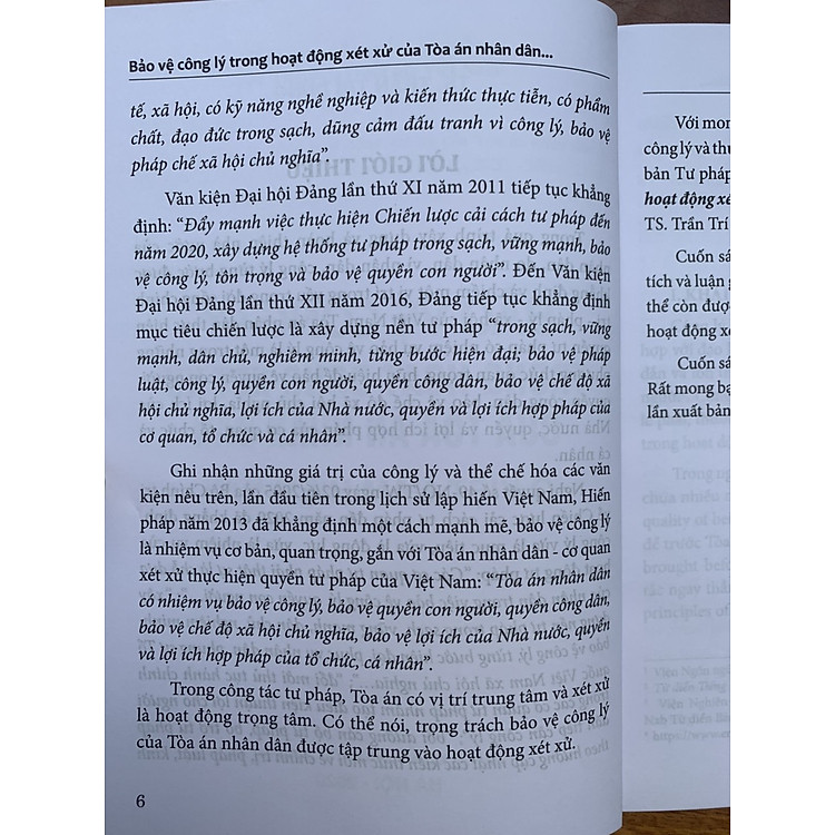 Bảo vệ công lý trong hoạt động xét xử của Tòa án nhân dân ở Việt Nam hiện nay - Ảnh 4