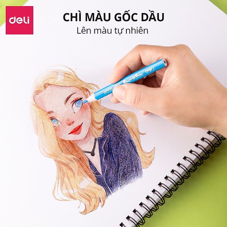 Bút Chì Màu Deli (Hộp 12 màu) - Ảnh 2