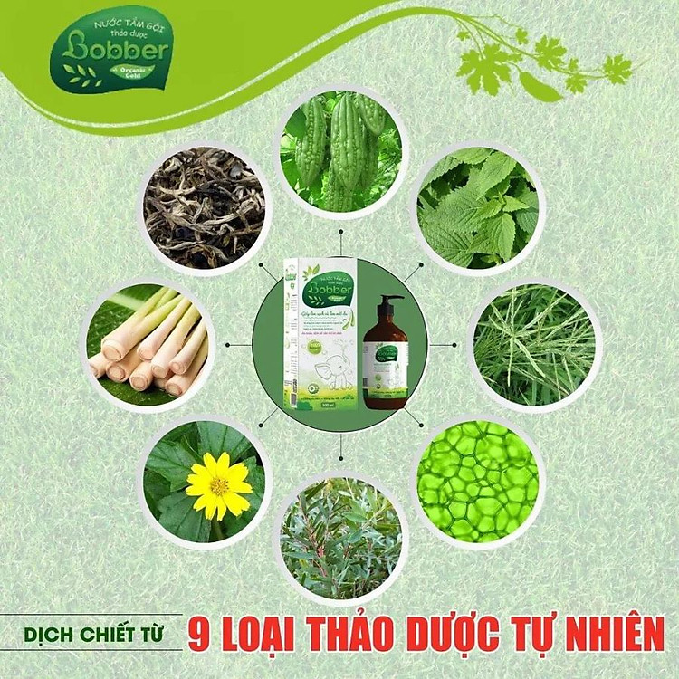 Nước Tắm Gội Thảo Dược Bobber 300ml Chính hãng Ưu đãi - Hình ảnh 5