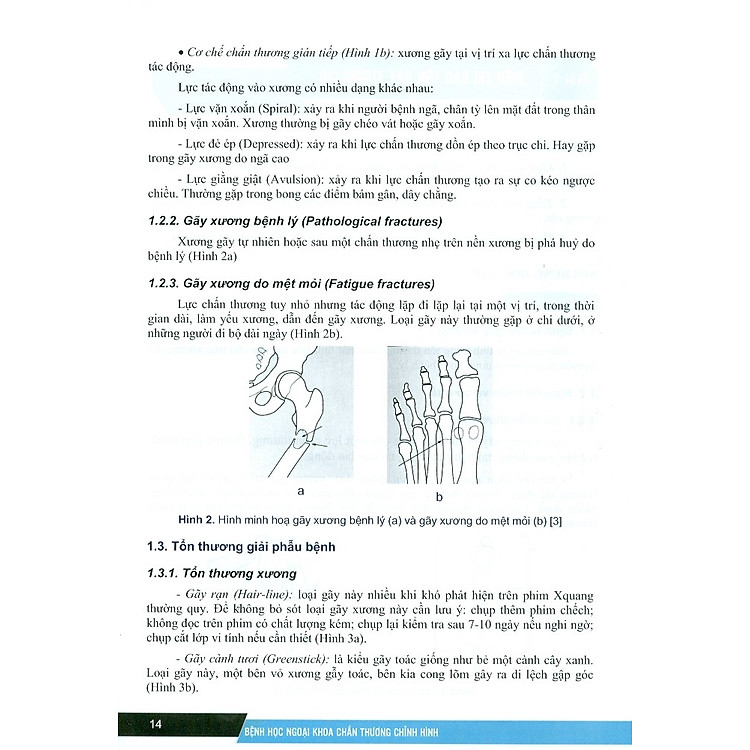 Bệnh Học Ngoại Khoa Chấn Thương Chỉnh Hình - Ảnh 7