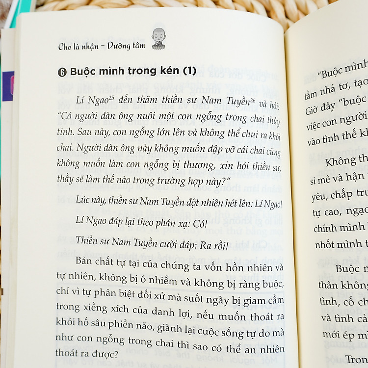 Đại Sư Tinh Vân - Dưỡng Tâm - Ảnh 7