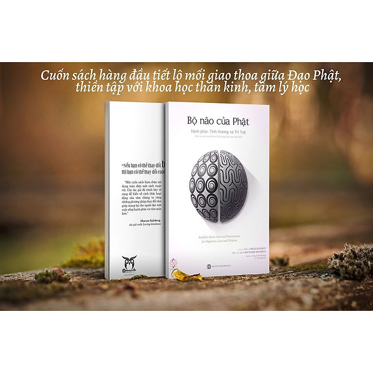 Mua tại Newshop: Bộ Não Của Phật