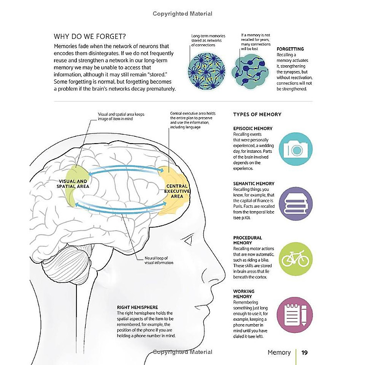The Brain Fitness Book: Activities And Puzzles To Keep Your Mind Active And Healthy - Ảnh 2