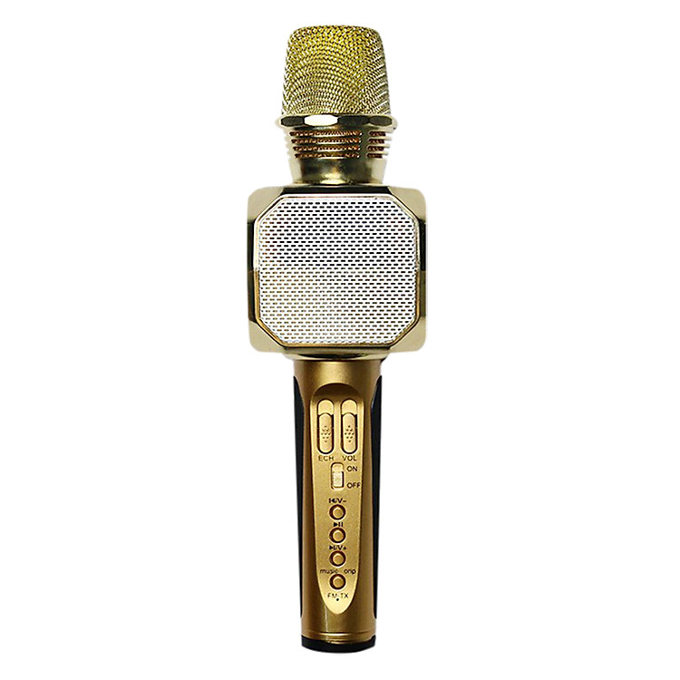 Mic Karaoke SD 10 Kèm Loa Bluetooth