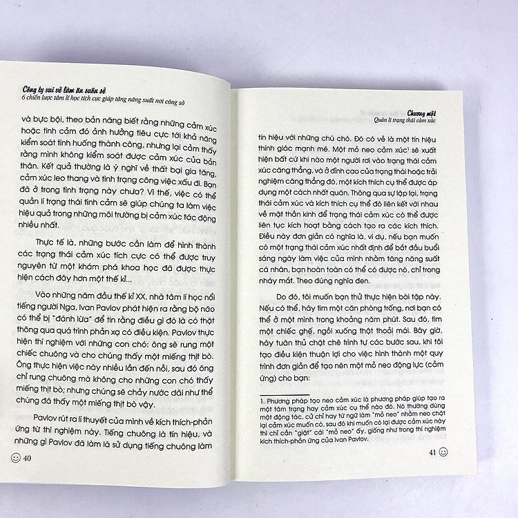 Công Ty Vui Vẻ Làm Ăn Suôn Sẻ (ML) - Ảnh 6