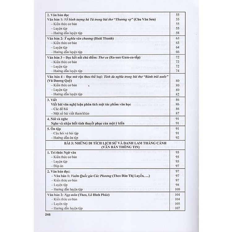Bài Tập Phát Triển Năng Lực Ngữ Văn 9 Tập 1 (Chân Trời) - Ảnh 3
