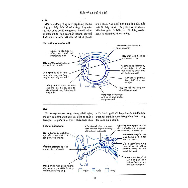 Bên Con Khi Con Đau Bệnh - Ảnh 4