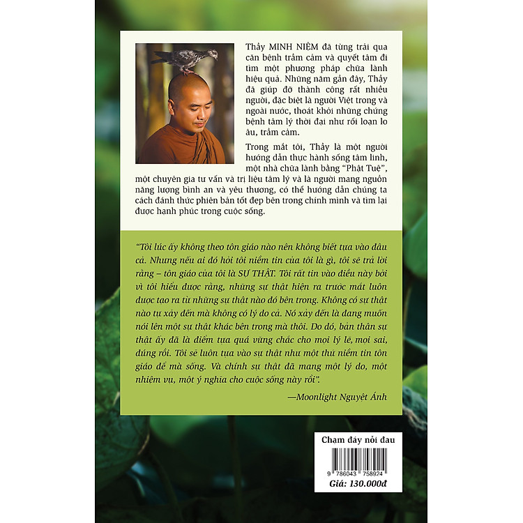 Chạm Đáy Nỗi Đau - Trầm Cảm Và Những Bài Học - Ảnh 3