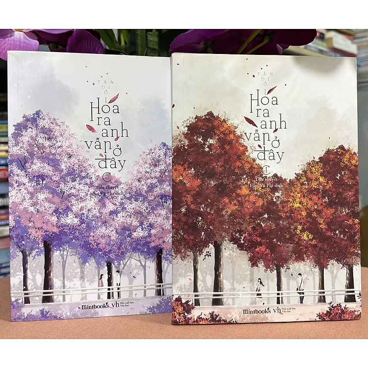 Sách - Combo 2 cuốn Hoá ra anh vẫn ở đây