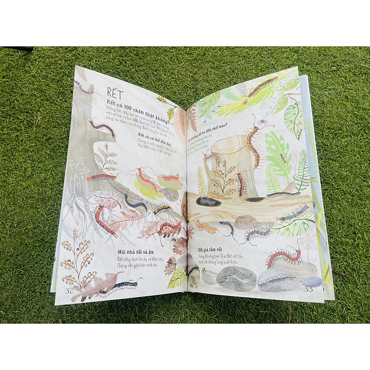 A LÊ HẤP! - THẾ GIỚI BỌ - Ảnh 4