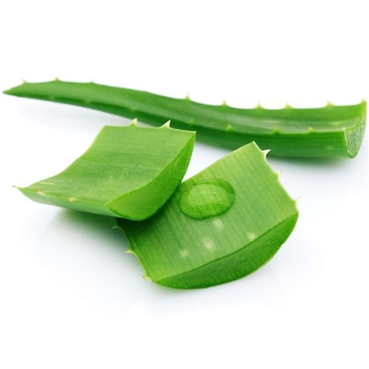 NHA ĐAM 500G
