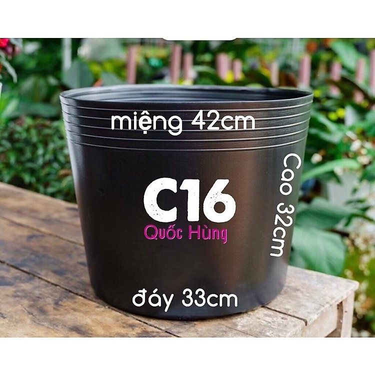 chậu nhựa C16 dầy dặn