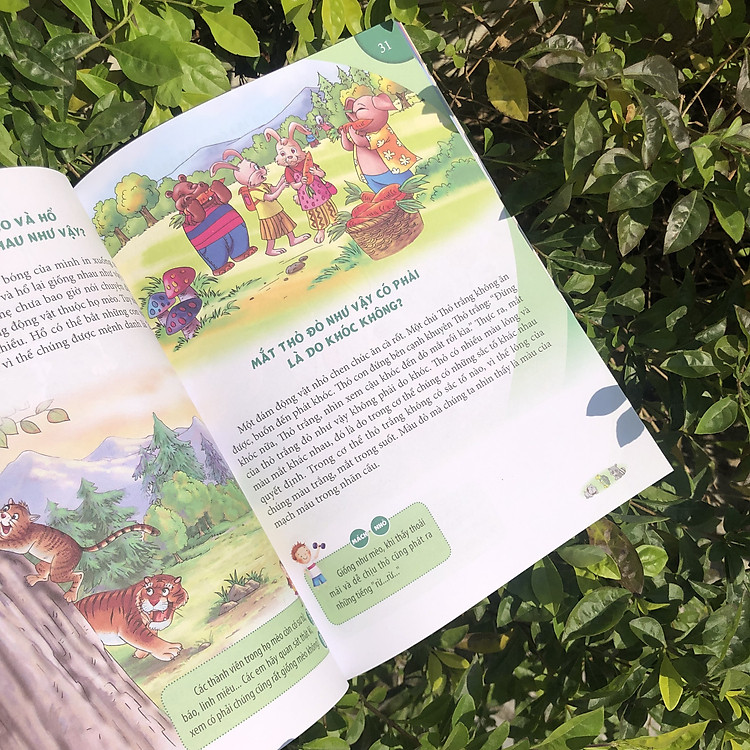 10 Vạn Câu Hỏi Vì Sao - Động Vật Trên Cạn Và Dưới Nước - Ảnh 7