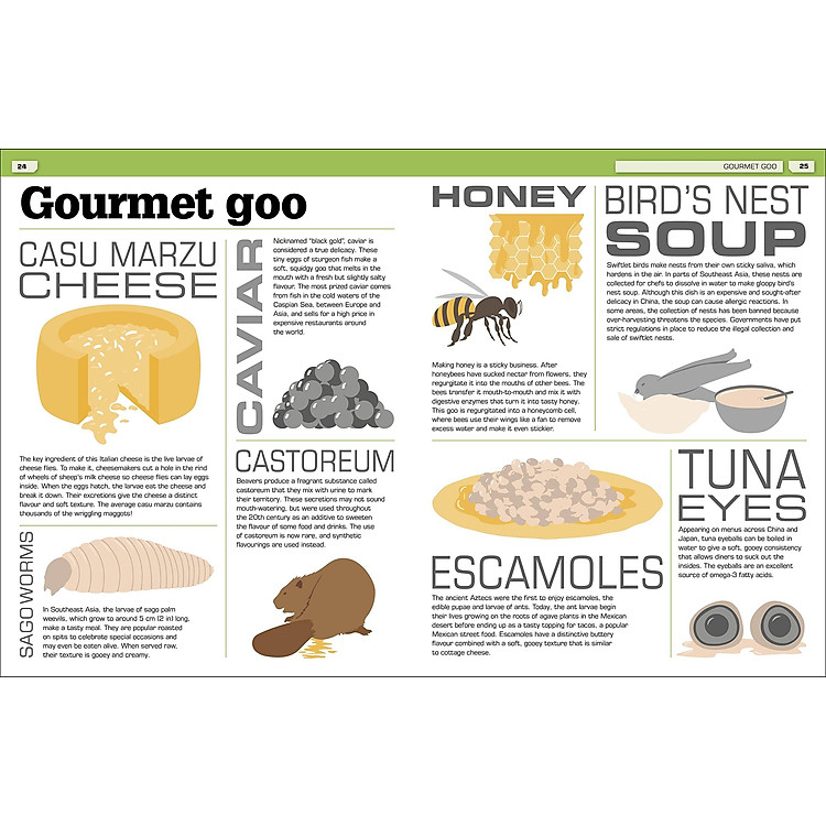 The Science Of Goo! - Ảnh 6