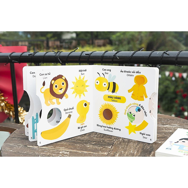 Xoay Xoay Xoay - Đi Tìm... Màu Sắc - Ảnh 6