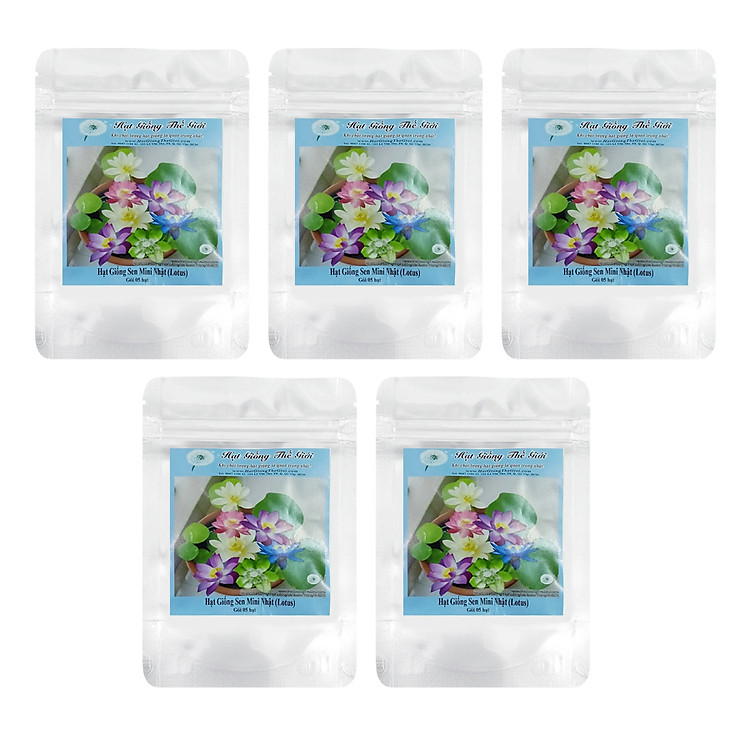 Bộ 5 túi Hạt Giống Sen Mini Nhật (5 hạt / túi)