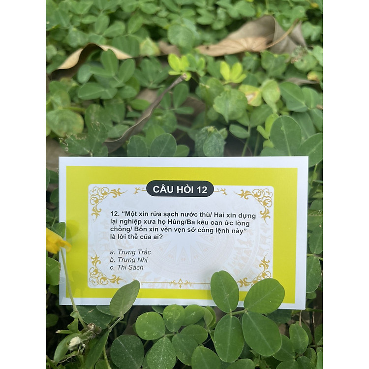 Cờ Lịch Sử - Ảnh 6